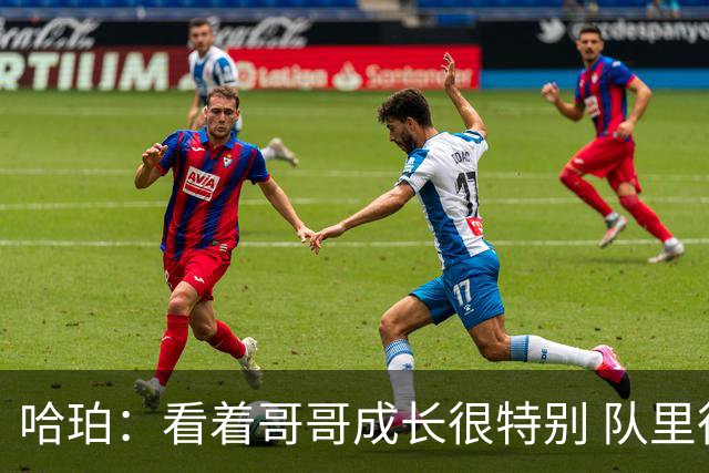 哈珀：看着哥哥成长很特别 队里很多老将帮我站稳脚跟