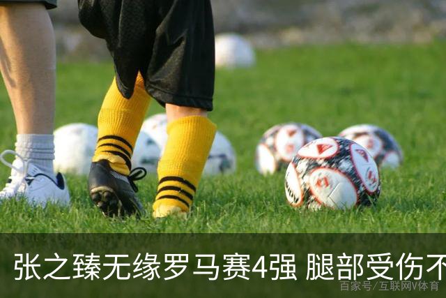 张之臻无缘罗马赛4强 腿部受伤不知会否影响法网