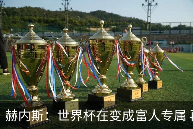 赫内斯：世界杯在变成富人专属 再商业化1张中等票也不该2千美金