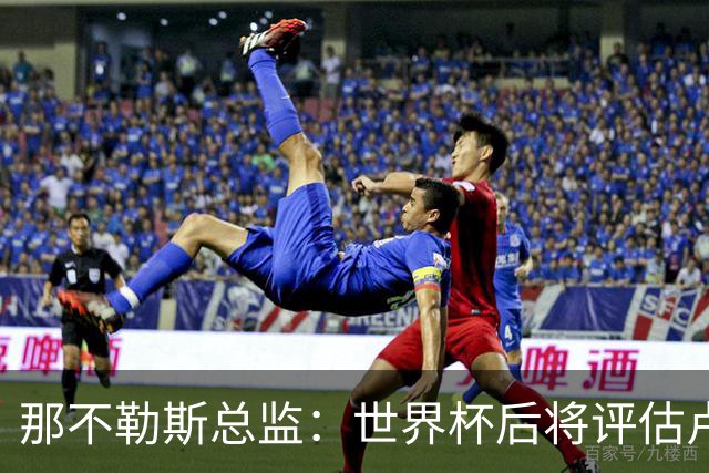 那不勒斯总监：世界杯后将评估卢卡库，关注哈莱利的并非只有我们