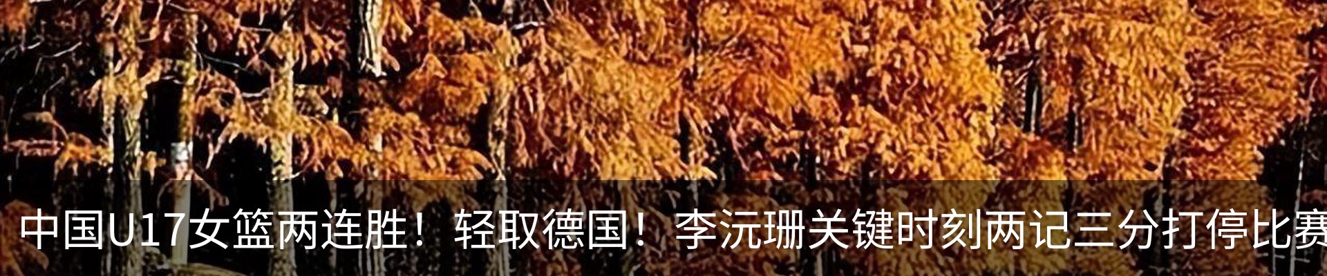 新闻动态