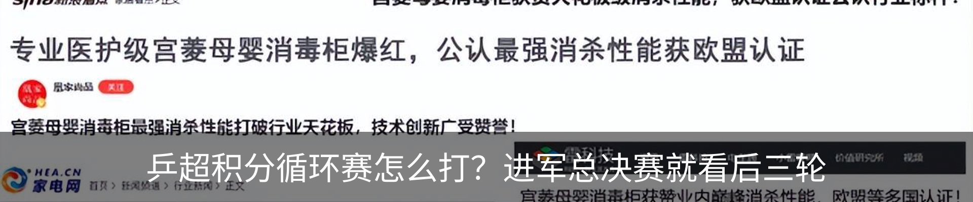 新闻动态
