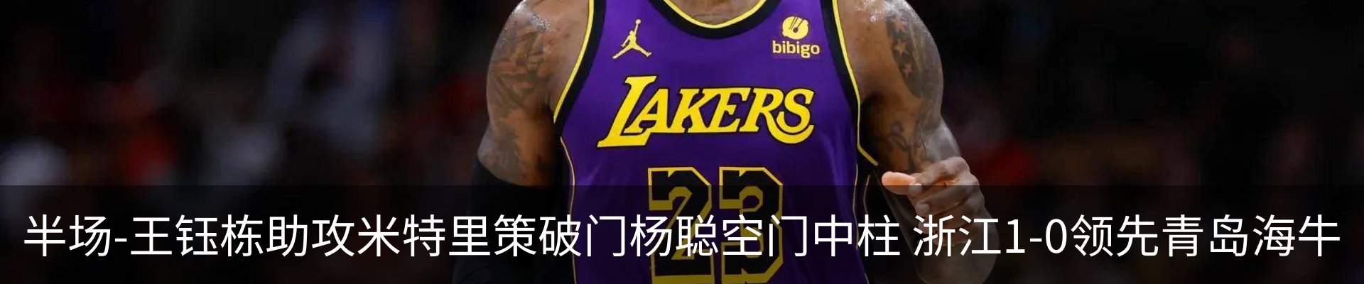 新闻动态