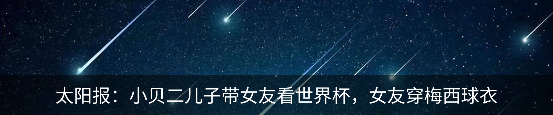 新闻动态