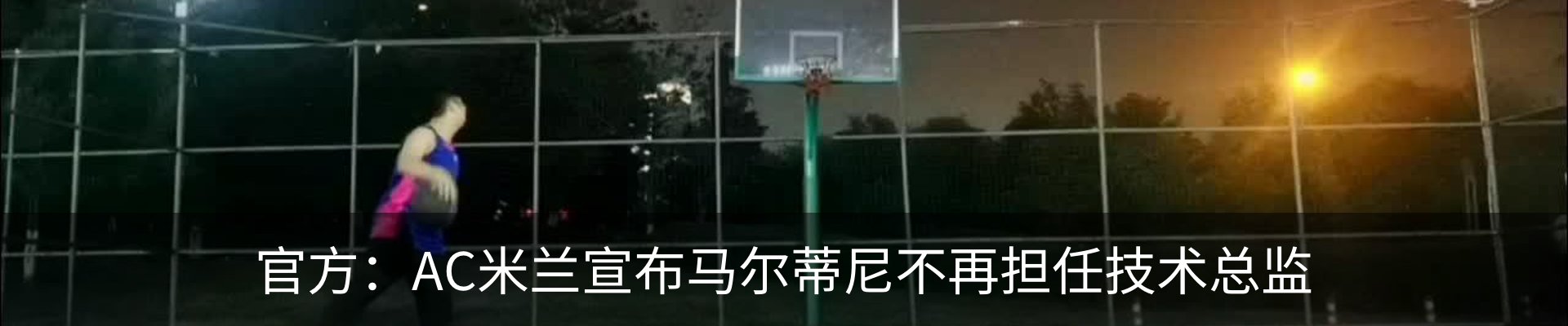 新闻动态