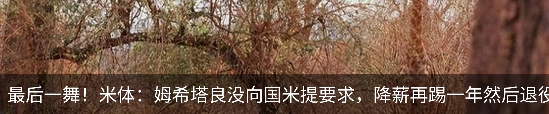 新闻动态