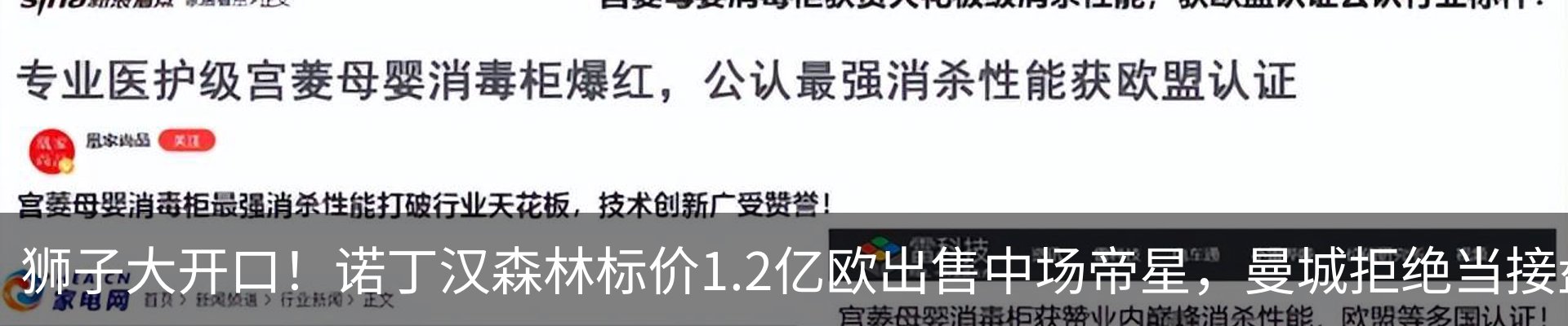 新闻动态