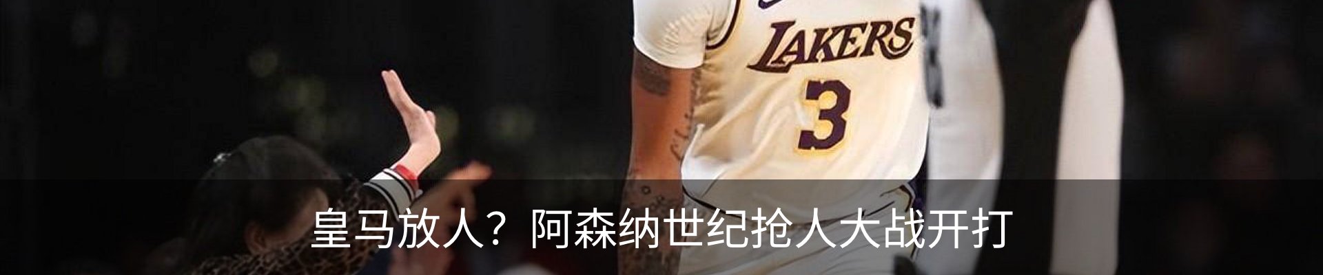 新闻动态