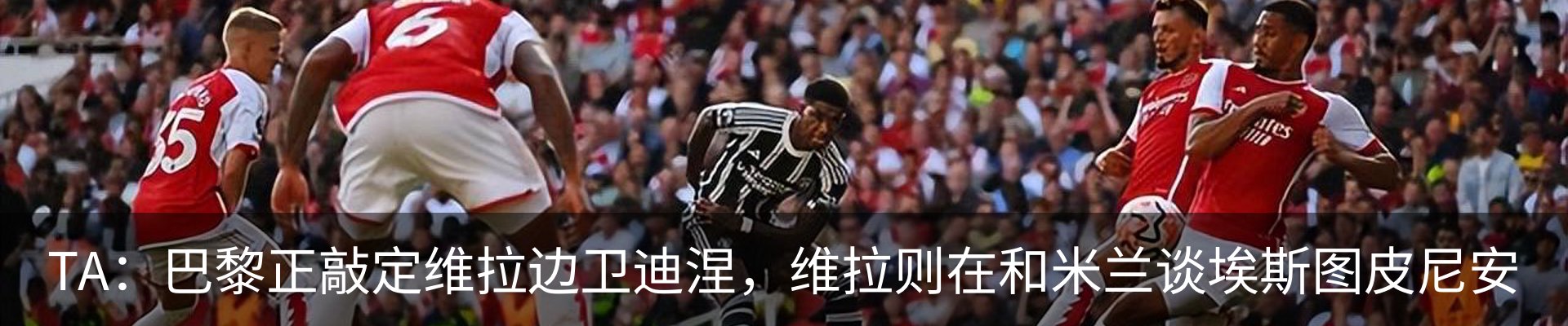 新闻动态