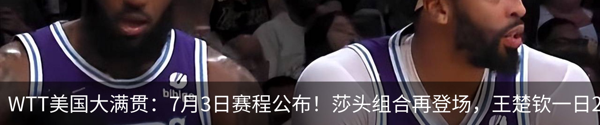新闻动态